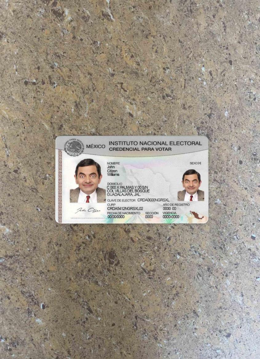 Downloadable Mexico instituto nacional electoral photolook real example